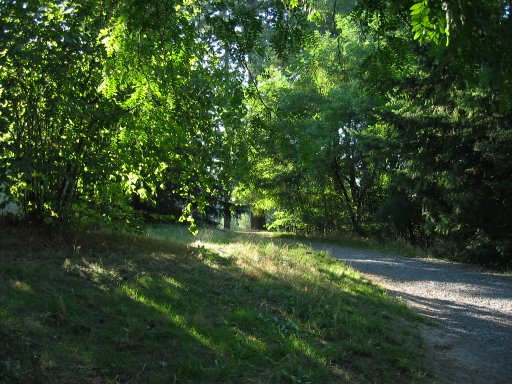 [Location 22 looking west]