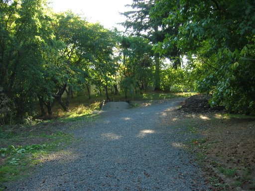 [Location 23 looking west]