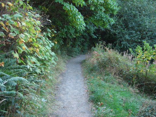[Location 27 looking west]