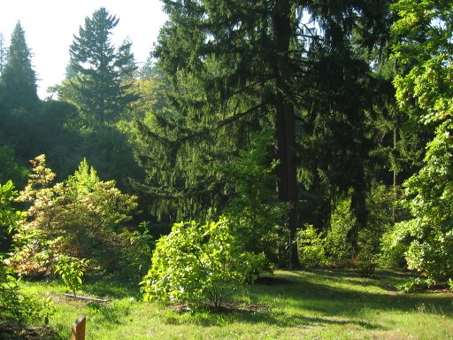[Location 29 looking west]