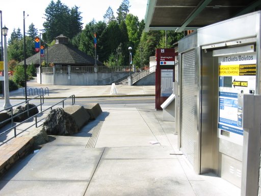 [Location 41 looking west]