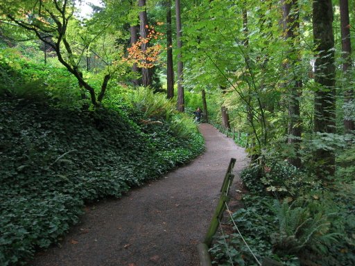 [Location 54 looking west]