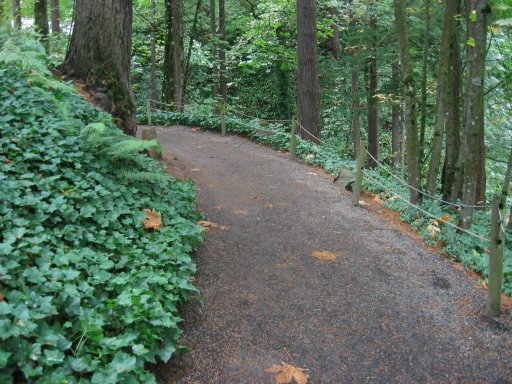 [Location 55 looking west]