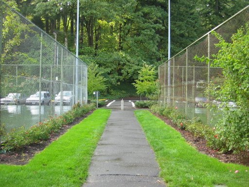 [Location 62 looking west]