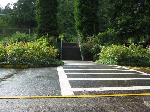 [Location 64 looking west]