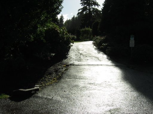 [Location 70 looking west]