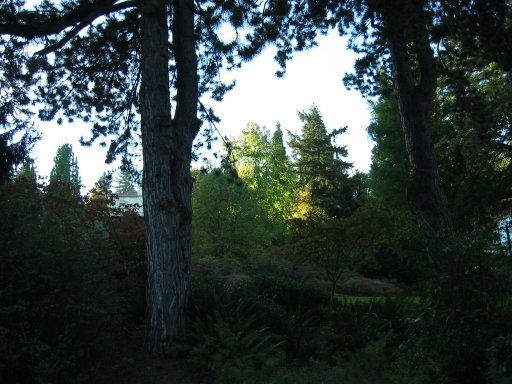 [Location 73 looking west]